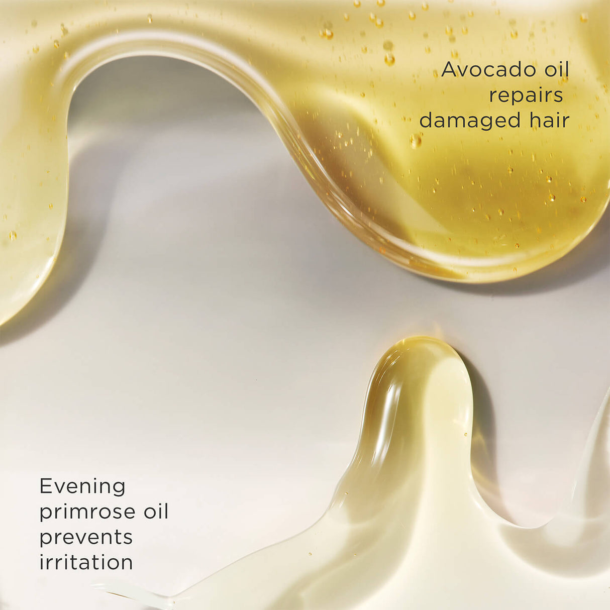 The Art of Shaving Canada | Premium Beard Oil