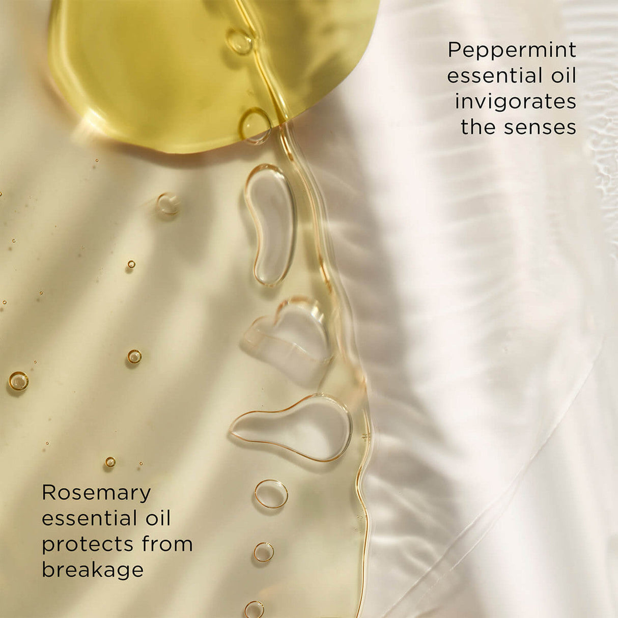 The Art of Shaving Canada | Beard Wash